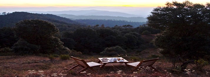 2066/Tree of Life Grand Oak Manor - Binsar 11.jpg